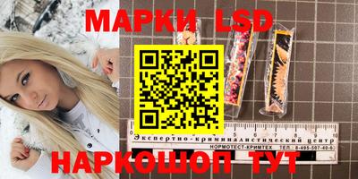 мдпв Донецк