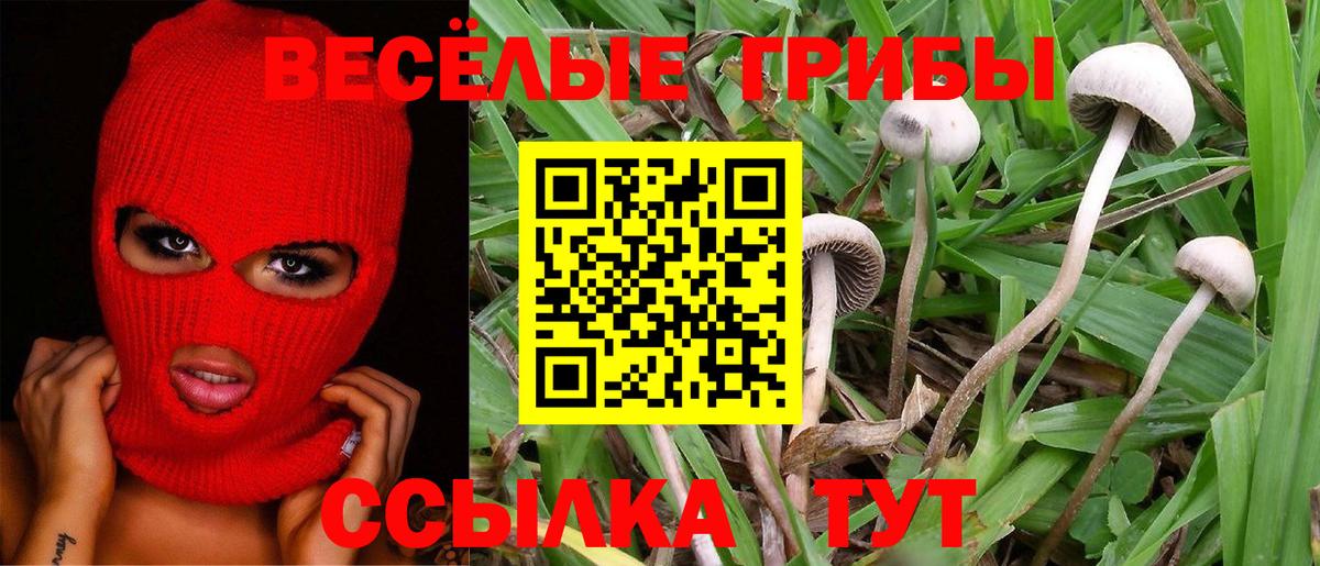 Галлюциногенные грибы MAGIC MUSHROOMS Наро-Фоминск