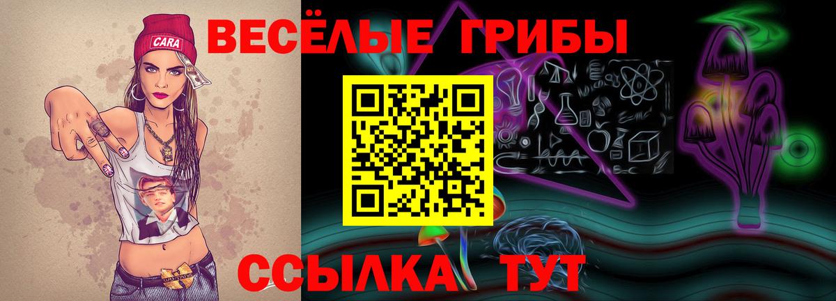 Галлюциногенные грибы прущие грибы  Вход с VPN  Наро-Фоминск 